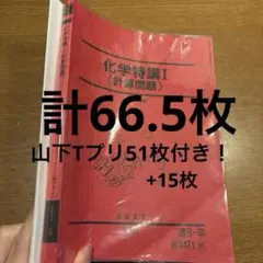 2026年最新】化学特講の人気アイテム - メルカリ