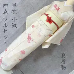 夏着物 夏用 フルセット 夏帯 絽 紗 小紋 稲穂 草花文様 V2 - メルカリ