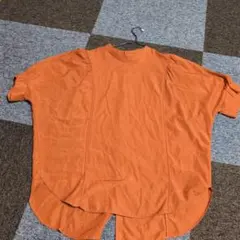 Item thumbnail for item bdd7273e-c207-44bc-895b-569094bcc030