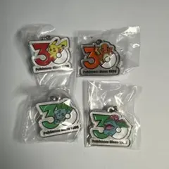 ポケモン30周年 メタルチャームマスコット めじるしアクセサリー ピカチュウ