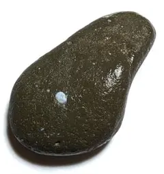 2026年最新】舎利石の人気アイテム - メルカリ