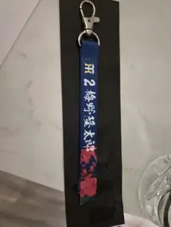 Item thumbnail for item 6e1aa45c-dc83-487b-97d2-43f4279ee8fa