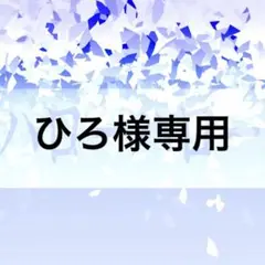 ひろ様専用出品