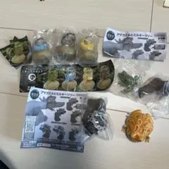 カエル　まとめ売り