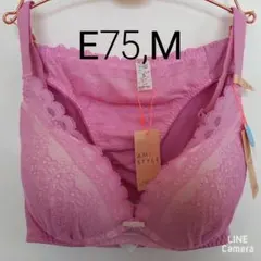 トリンプ夢みるブラ&ショーツセット