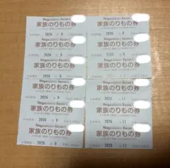 ナガシマスパーランド乗り物券のサムネイル