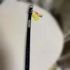 Item thumbnail for item 6739c51d-3473-4c0e-8ea3-3bf122a4b1f1