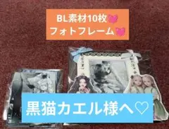 2026年最新】ジャンクジャーナルの人気アイテム - メルカリ