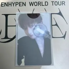 ソヌ　engene zone エンジンゾーン　fc トレカ