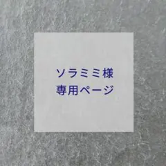 【ソラミミ様専用ページ】フォトコーナー　シルバー20シート・ゴールド20シート