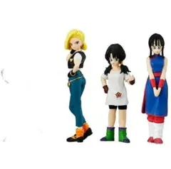 【値下げ】HG ドラゴンボール Another 18号 ビーデル チチ 3種