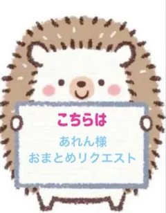 あれん様 リクエスト 2点 まとめ商品