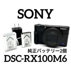 2026年最新】sony rx-100 ジャンクの人気アイテム - メルカリ