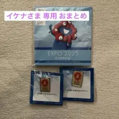 イケナ様 リクエスト 2点 まとめ商品