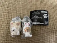 スキズ SKZOO つまんでつなげてますこっと ジニレット ハンクォッカ