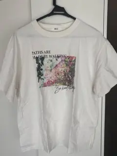 Item thumbnail for item 2684044d-8f4d-45d3-af00-3db04127c250