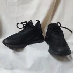 Item thumbnail for item 828550c5-ddf2-4482-8092-4500a928932f