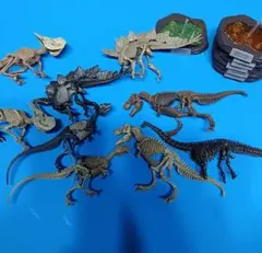 恐竜マスター　セットのサムネイル