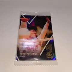 フジカラーdeおもしろ人形プレゼント 似てるかな人形 バレーボール 川合俊一 川合俊一のD・D・Tチャンネル - YouTube