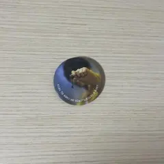 2026年最新】るぅと 缶バッジ 実写の人気アイテム - メルカリ