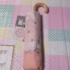 Item thumbnail for item 4f2e4e28-b87f-4571-bdab-47731608cd14