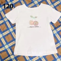 センスオブワンダー　Tシャツ　半袖　120センチ