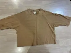 Item thumbnail for item 048b0e5e-55c0-43df-8679-182ea42832ec