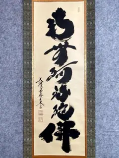 臨済宗大徳寺塔頭玉林院前住職 森洞雲自筆二字横物『白雲』掛軸（共箱