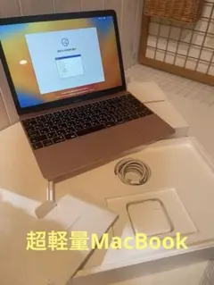 レア美品　超軽量Apple MacBook 12インチ ローズゴールド 本体