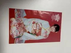 週刊ヤングジャンプ 2016年1月29日号 - 特集: 武田玲奈 特別付録
