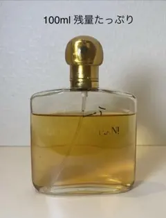 【100ml】ジョルジオアルマーニ GIO ジオ オードパルファムのサムネイル