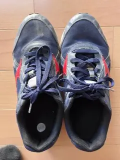 ミズノ　運動靴