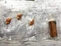 ポケモン なかよしの木2 アチャモ