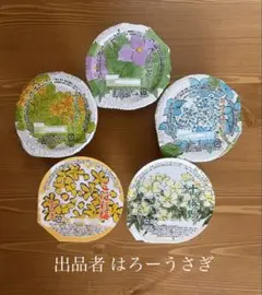 【六花亭】ゼリー　5個のサムネイル