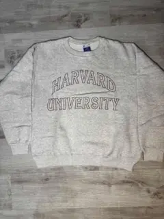 Item thumbnail for item 51dc6121-a63b-410d-8d0f-fb733eca9d40