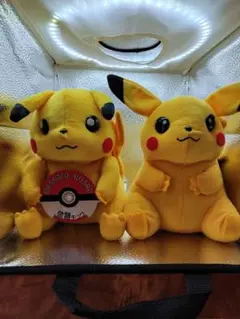 ピカチュウ ぬいぐるみ メッセージボード付き