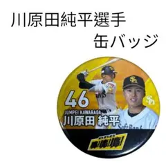 即購入⭕️ ソフトバンクホークス　川原田純平選手　缶バッジ