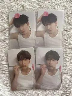 SEVENTEEN ウォヌ 17 IS RIGHT HERE DEAR トレカ