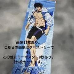 Free! ハイ・スピード ラストハッピー賞 マルチクロス 七瀬 遙&桐嶋