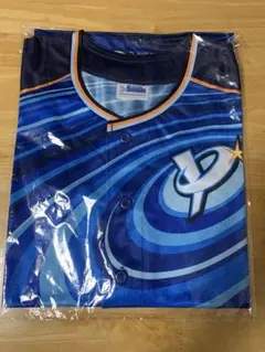 Item thumbnail for item 604c24bf-7231-45f2-85b0-5f0cacd0d189