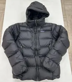 Patagonia フィッツロイダウンフーディ パタゴニア