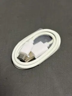 USB-C to USB-A 充電ケーブル 約0.5m