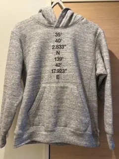 ノースフェイス パーカー グレー　東京限定　Sサイズ