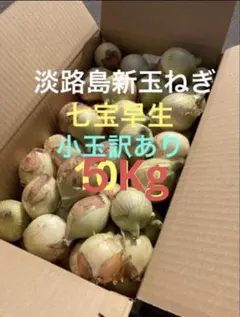 七宝早生♦︎秀品3Lサイズ10Kg ♦︎淡路島新玉ねぎ たまねぎ 玉葱