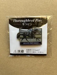 グランプリボス　ピンズ　サラブレッド　サラピン　まねき馬倶楽部　競馬