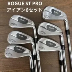 2025年最新】ローグst アイアン プロの人気アイテム - メルカリ
