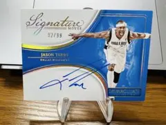 PANINI NBA IMMACULATE JASON TERRY AUTO