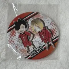ハイキュー 黒尾鉄朗 孤爪研磨 コレクション 缶バッジ 8弾