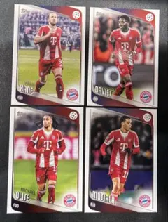 Item thumbnail for item d63944d4-c10d-46ba-8acb-05884bf093a6