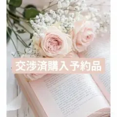 小麦様　KATE リップモンスター18 　新品未使用